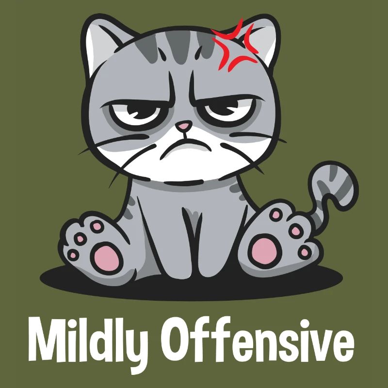 Slightly offensive sarcastic funny sarcasm