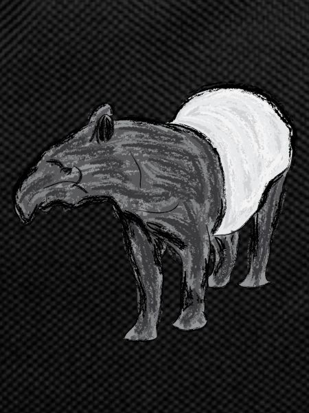 Black-backed Tapir / Malayan Tapir I