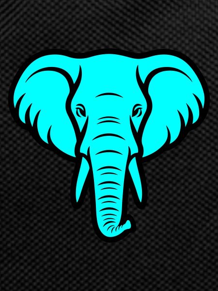 Elefant Kopf