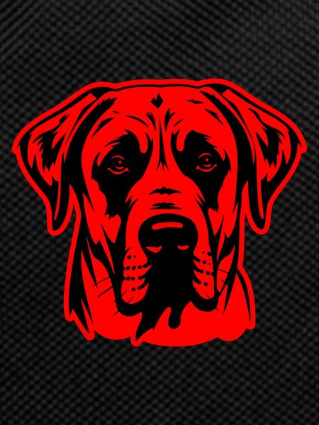Kangal Dog Head