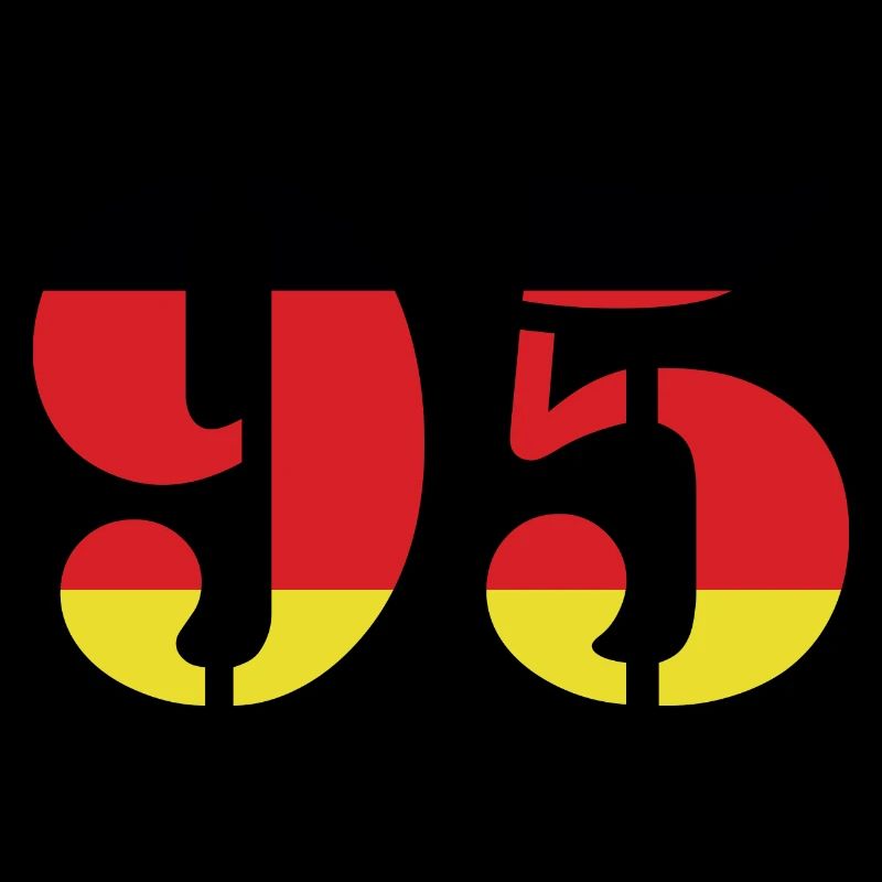 95 Number Jersey Germany