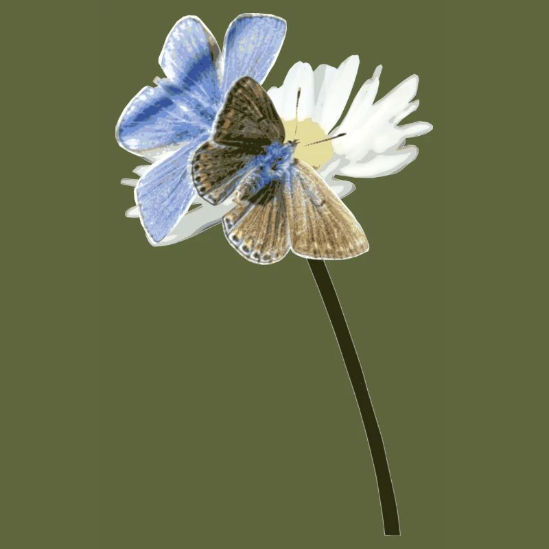 Zwei Bläuling Schmetterlinge auf einer Blüte