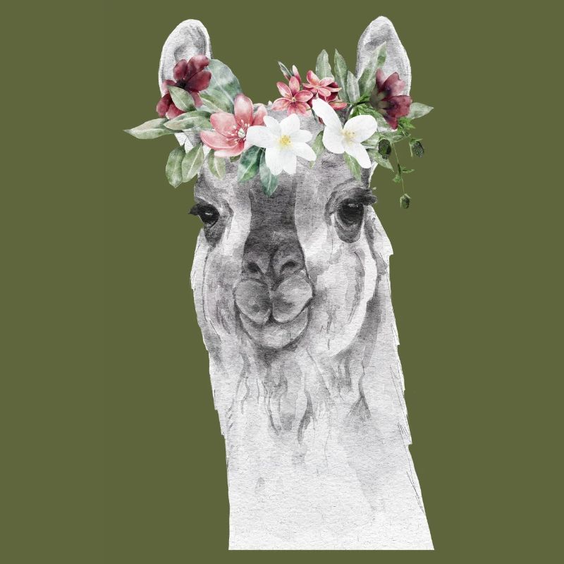 Llama