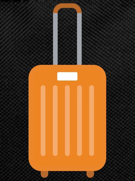 Icing holiday luggage