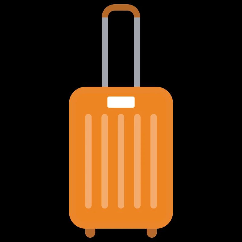 Icing holiday luggage