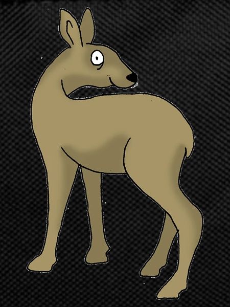 Roe deer