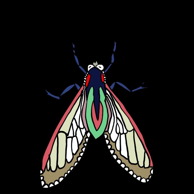 Nachtmotte Farbexplosion