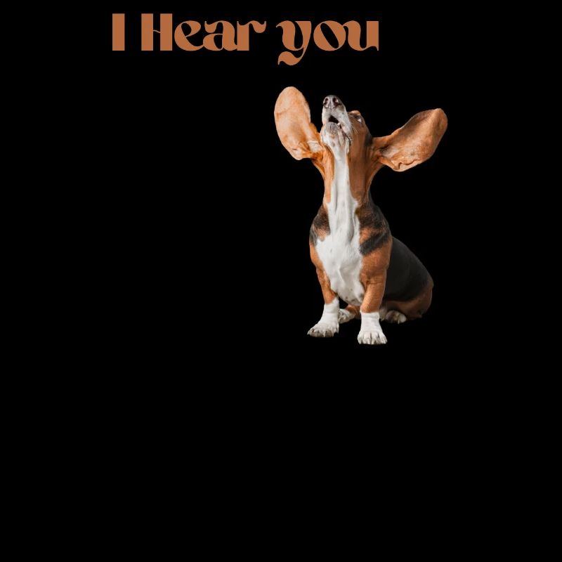 I Hear you