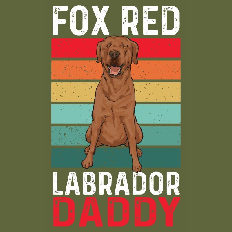 Foxred Labrador Fuchsroter Labrador Retriever
