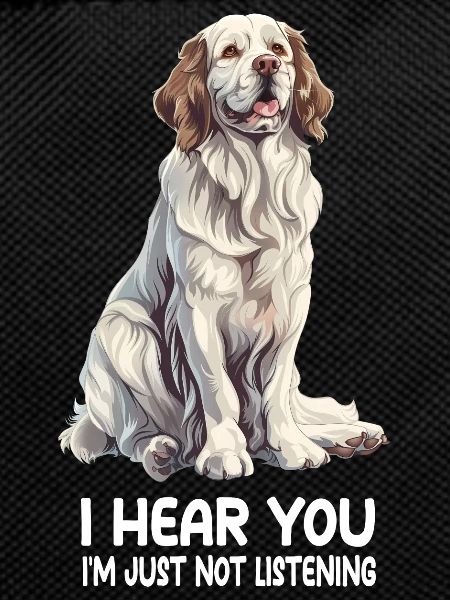 Clumber Spaniel