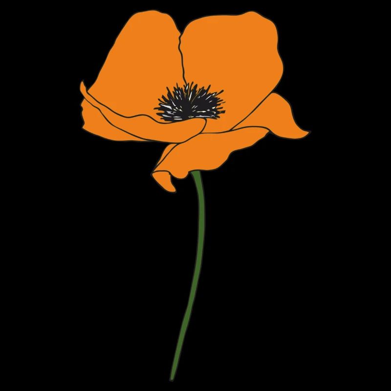 mohnblume orange