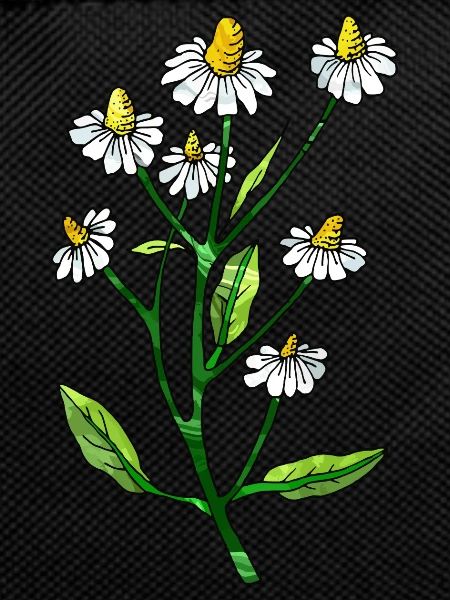 Blumen