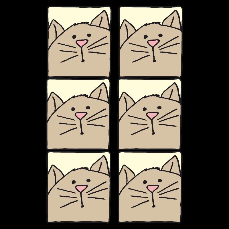 katzenbilder