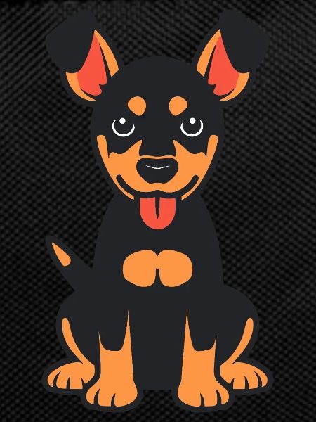dobermann