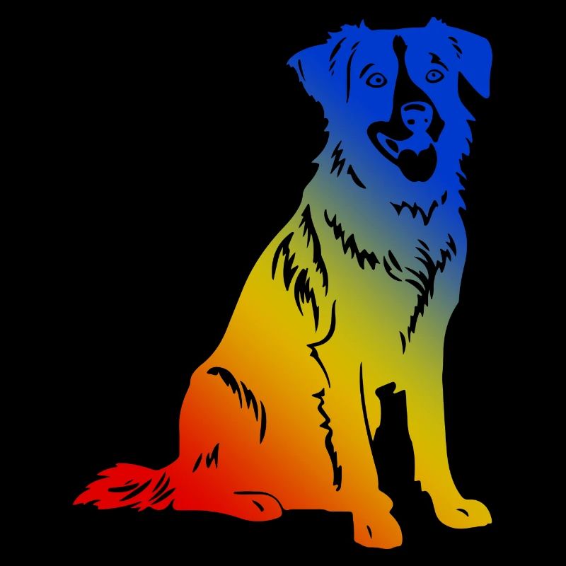 Australian Shepherd Dog Multicolored