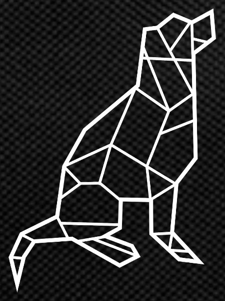 Dog Pet Geometry