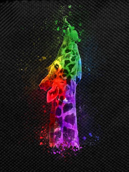 Multicolour Giraffe