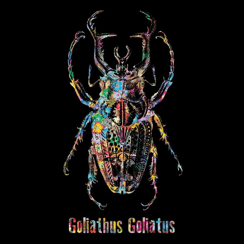 Scarabée Goliathus Goliatus
