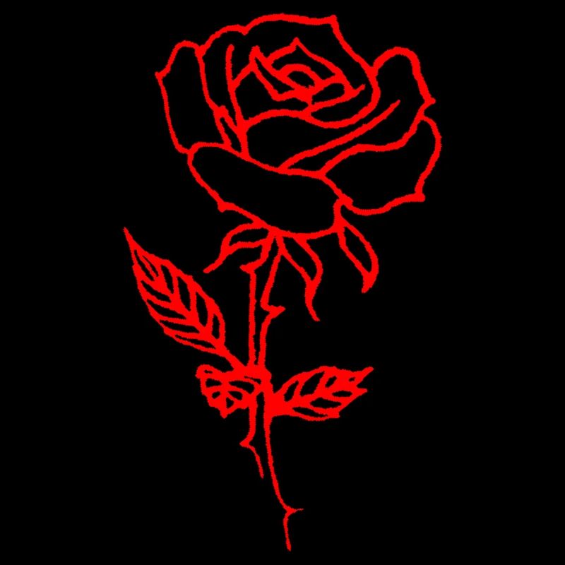 Minimalist Red Rose