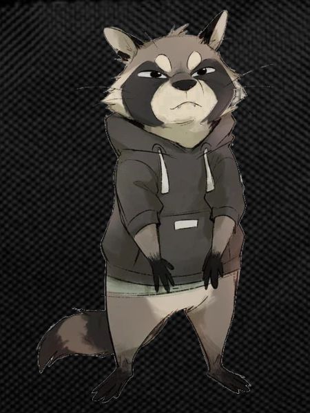 Raccoon with sweatshirt
