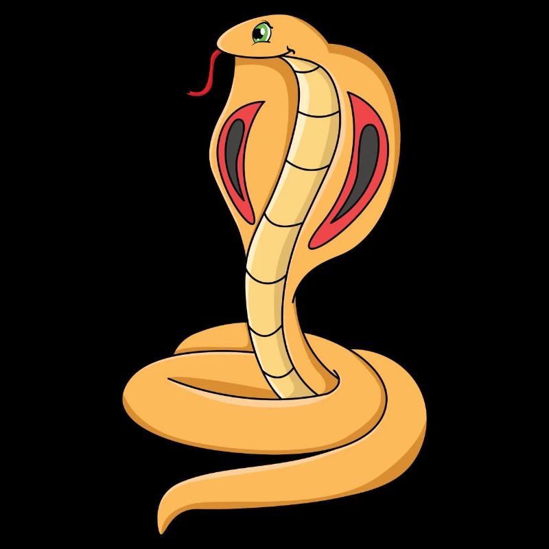 Cobra Snake
