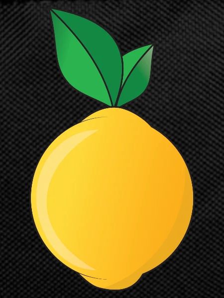 Zitrone Sommer Limonade