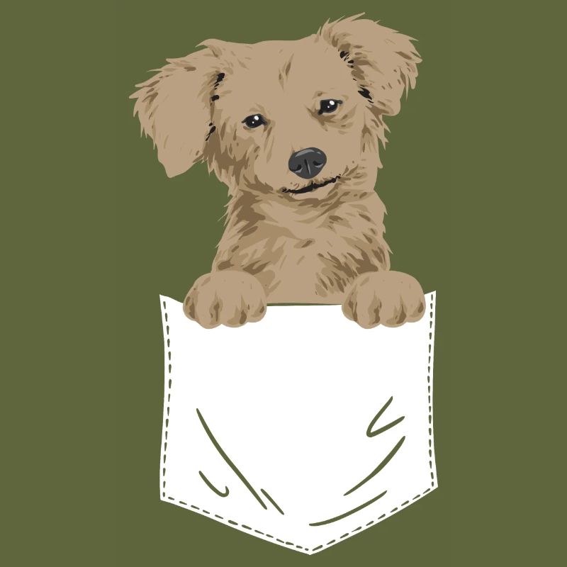 Chiweenie Dog