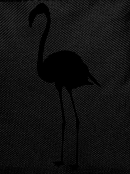 Flamants roses 6