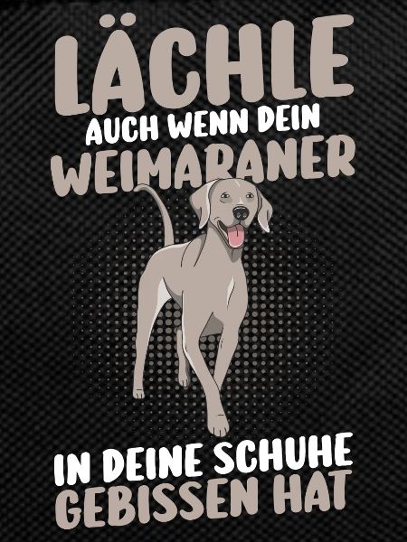 Hund Weimaraner