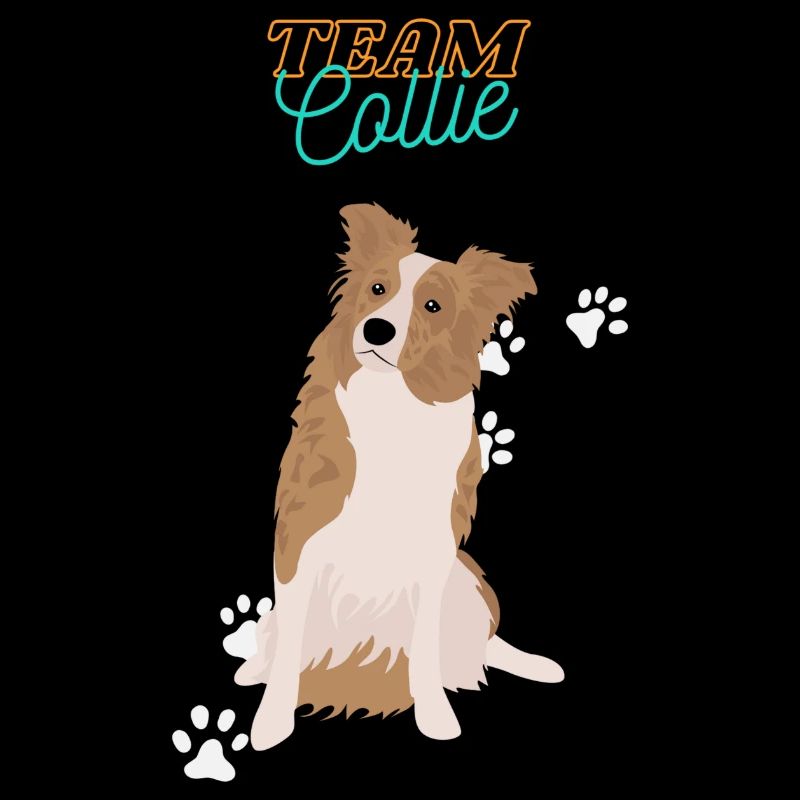 L’équipe Collie