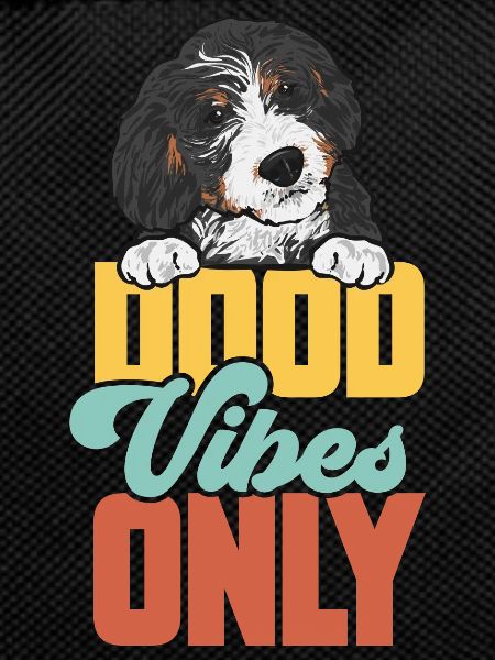 Bernedoodle Dog