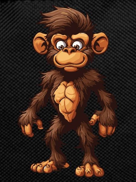 Affe Tier