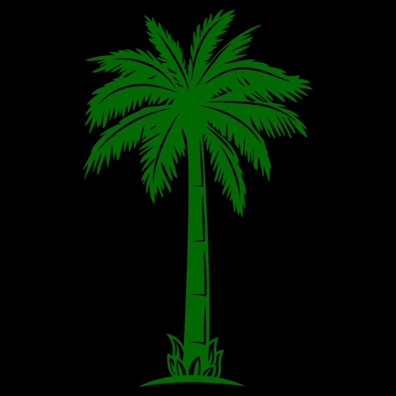 Silhouette de palmier