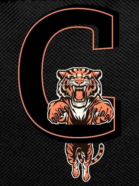 Letter c tiger - gift idea