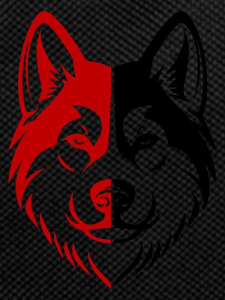 Akita Dog Head