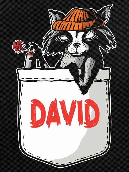 Raccoon David