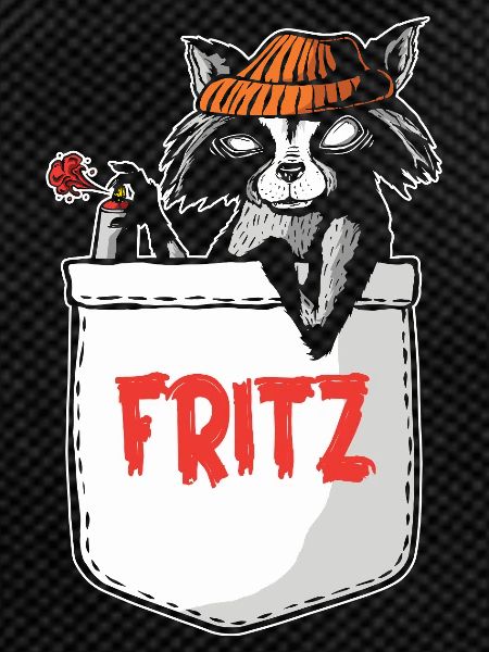 Raton laveur Fritz