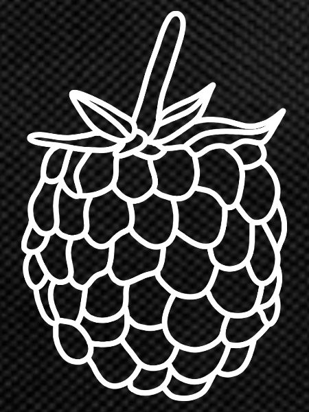 Raspberry Berry Vitamins