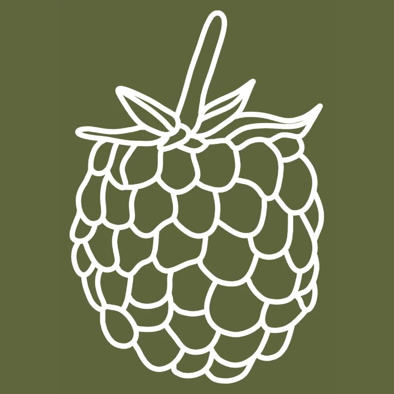 Raspberry Berry Vitamins