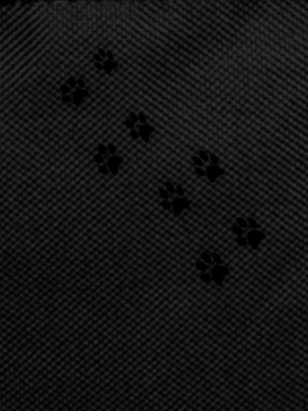 Cat's paw II