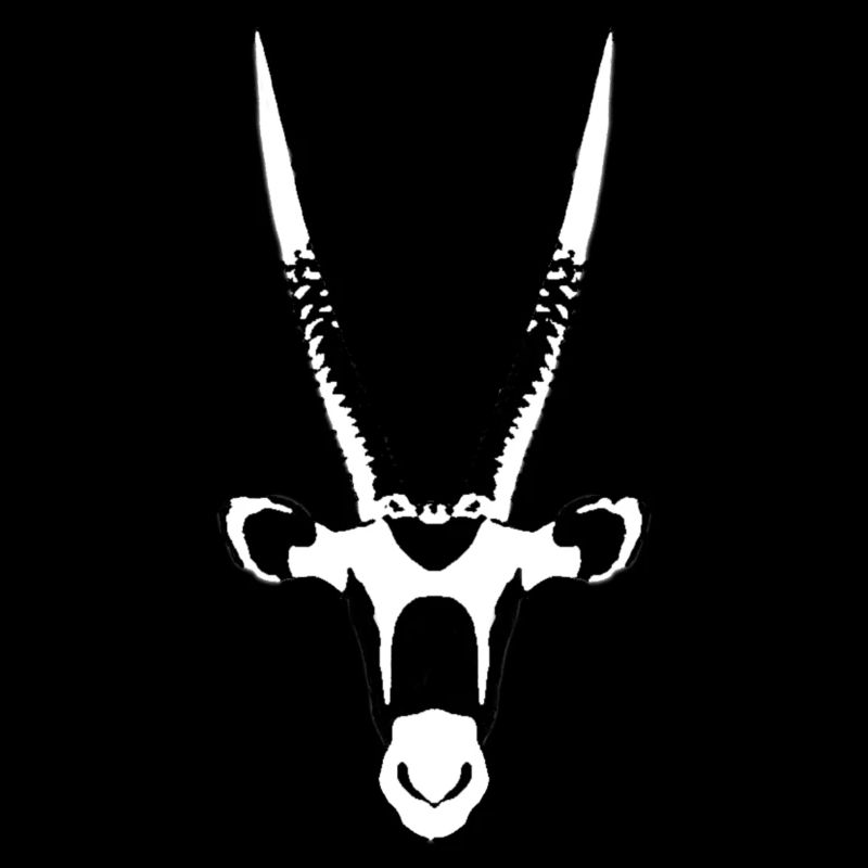 Oryx antelope