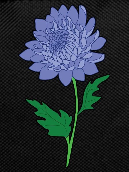Chrysanthemums