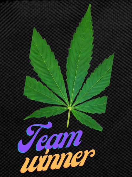 team winner, funny sayings, gift