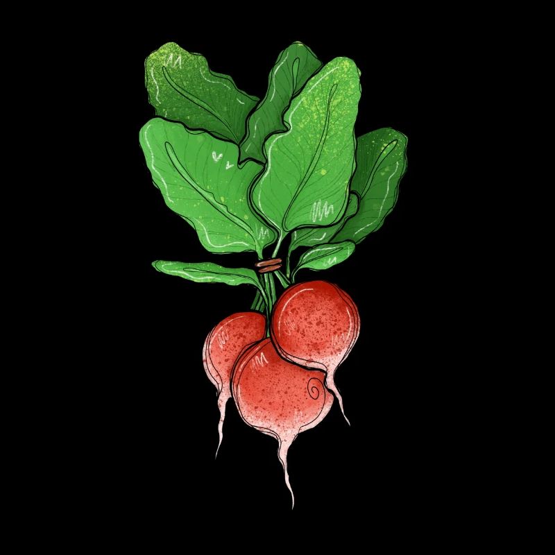 Radieschen Illustration