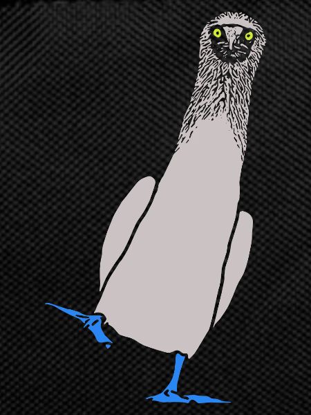 Tölpel