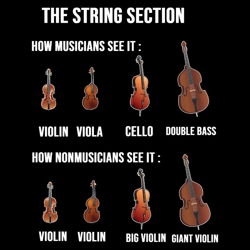 String Section-Ville Chef d’orchestre cadeau