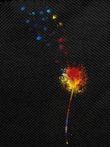 dandelion