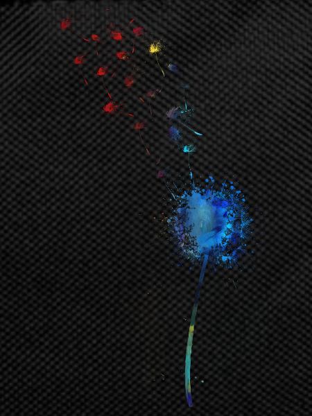 dandelion