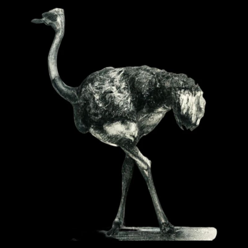 ostrich Illustration