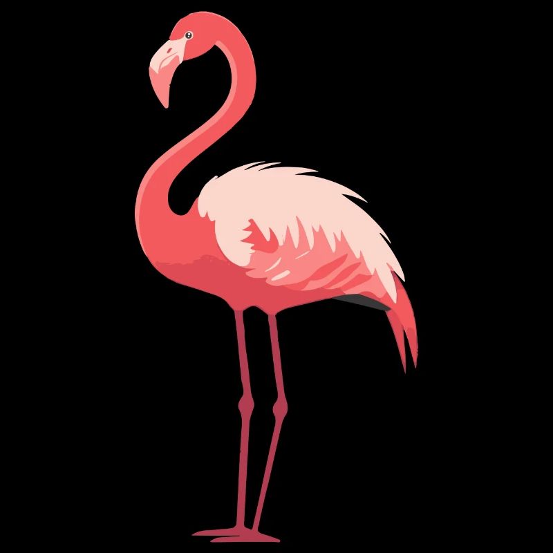 Flamingo Paradise: Été rose